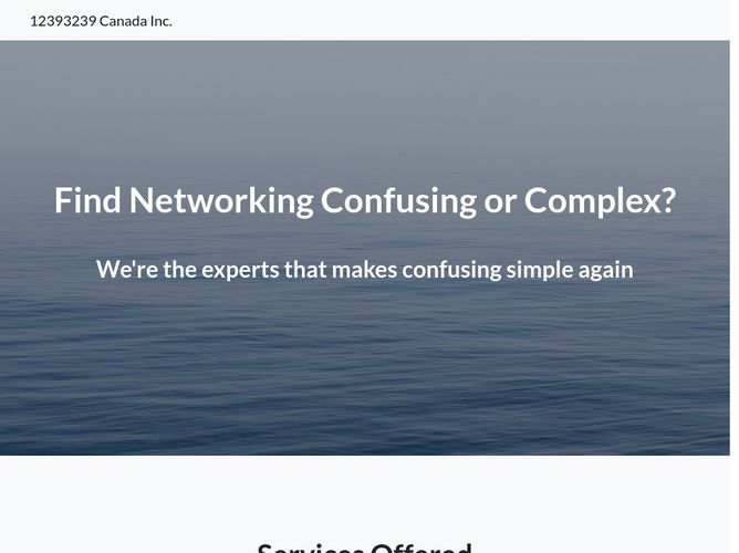 The website screenshot for http://12393239.xyz