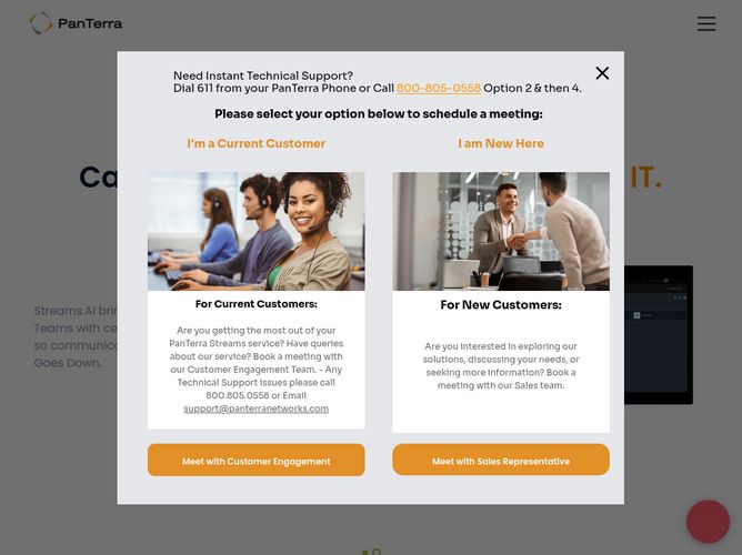 The website screenshot for http://panterranetworks.com