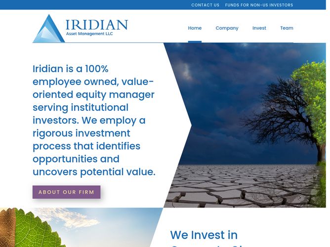 The website screenshot for http://iridian.com