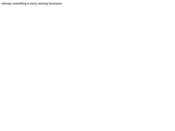 The website screenshot for http://mt-opticom.com
