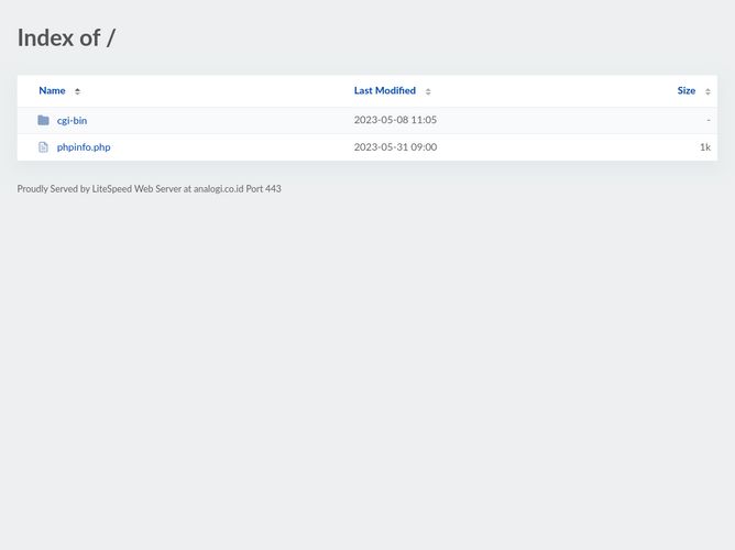 The website screenshot for https://analogi.co.id/