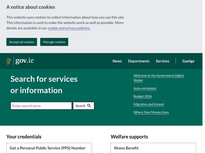 The website screenshot for https://www.gov.ie
