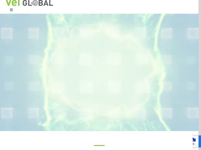 The website screenshot for https://vei.global