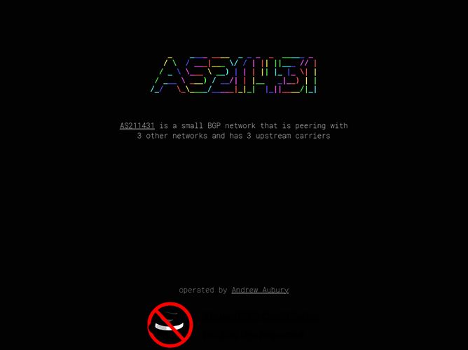 The website screenshot for https://as211431.net