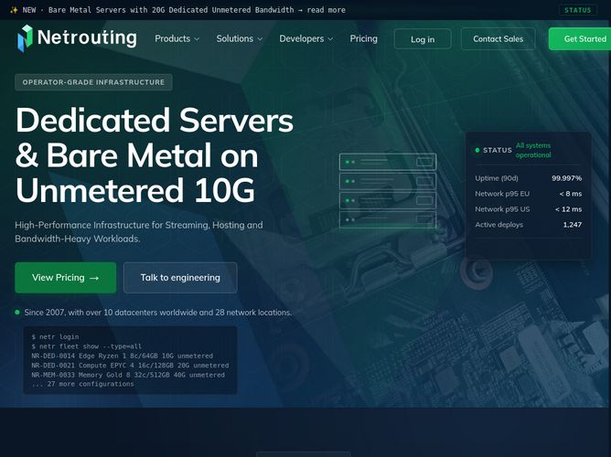 The website screenshot for https://netrouting.com