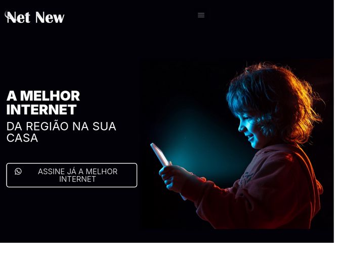 The website screenshot for http://www.netnew.com.br
