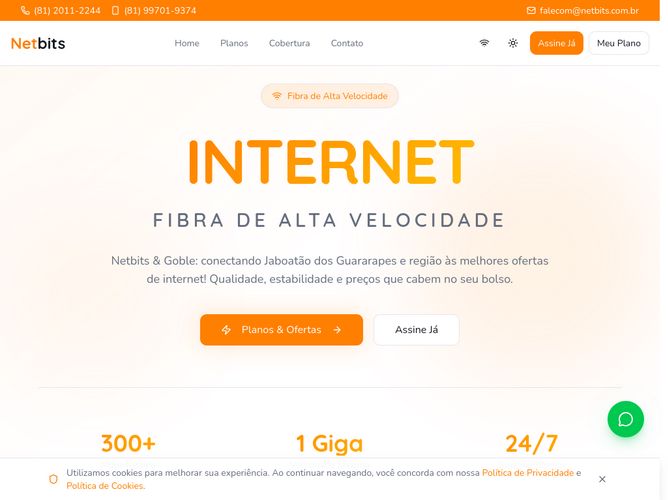 The website screenshot for http://www.netbits.net.br
