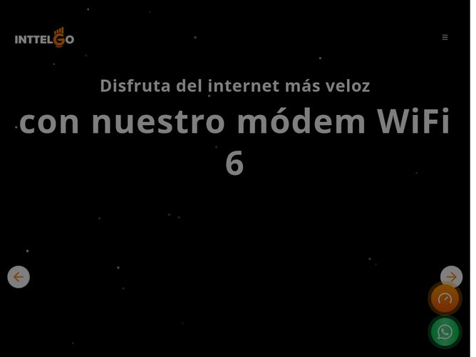 The website screenshot for http://www.inttelgo.com