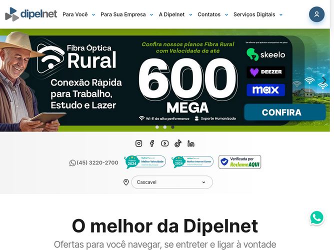 The website screenshot for http://dipelnet.com.br