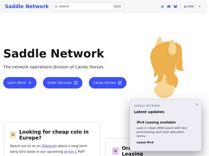 The website screenshot for https://saddle.network