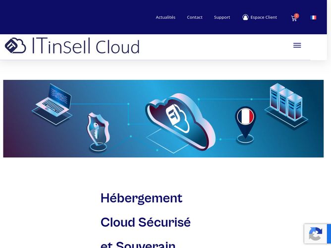 The website screenshot for http://www.itinsell.cloud