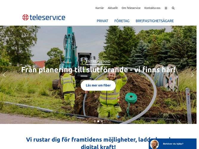 The website screenshot for http://www.teleservice.net