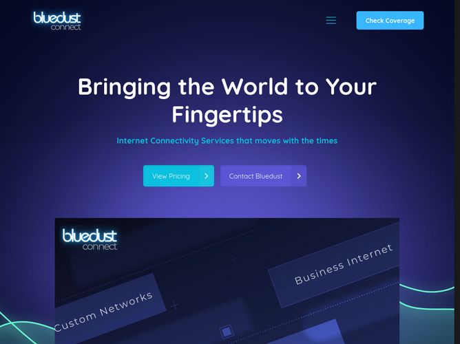 The website screenshot for http://www.bluedust.co.za