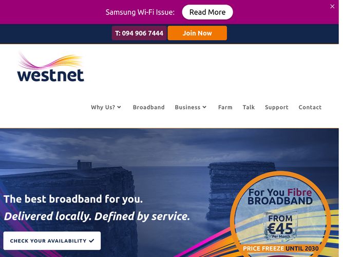 The website screenshot for http://www.westnet.ie