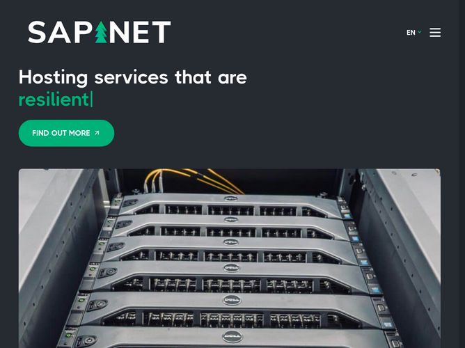The website screenshot for https://sapi.net