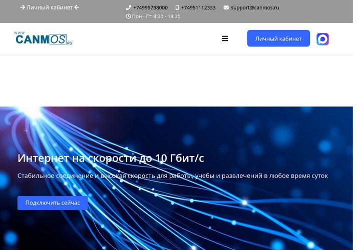 The website screenshot for https://www.canmos.ru