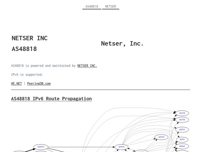 The website screenshot for https://48818.asn.net.netser.com