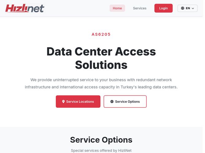 The website screenshot for https://www.hizlinet.tr